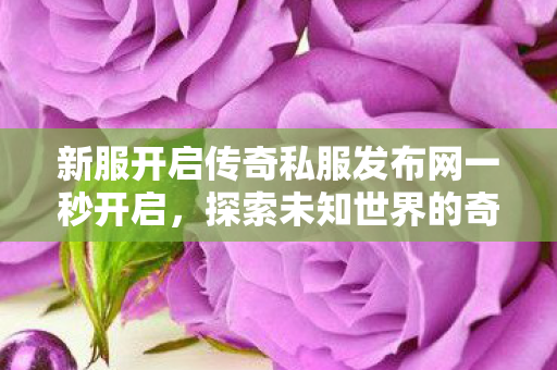 新服开启传奇私服发布网一秒开启图片