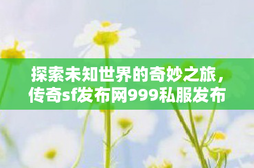 传奇sf发布网999私服发布网999图片