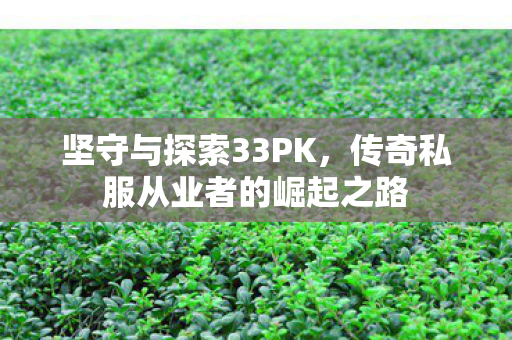 传奇私服从业者的崛起之路图片