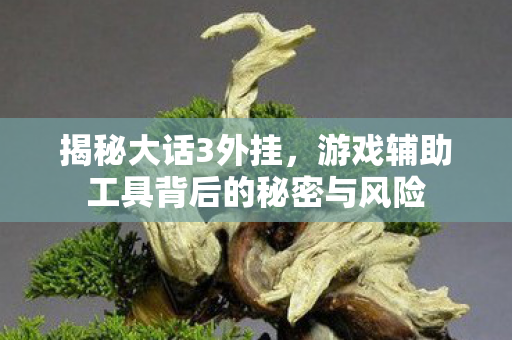 游戏辅助工具背后的秘密与风险图片