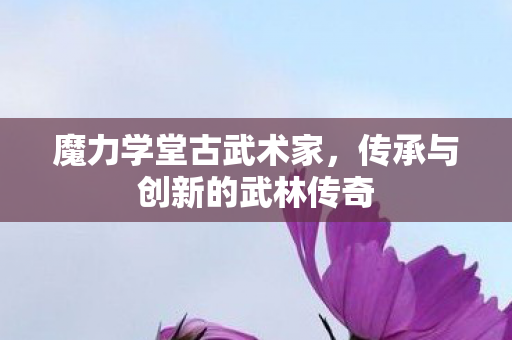 传承与创新的武林传奇图片