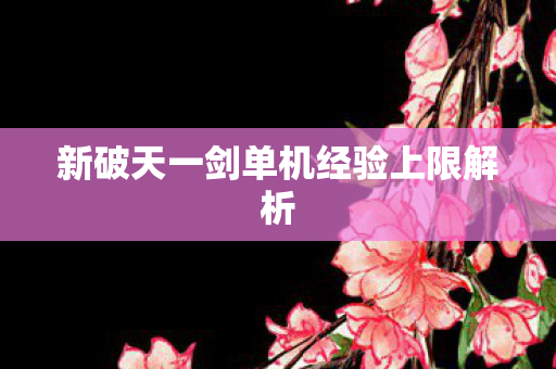 新破天一剑单机经验上限解析图片