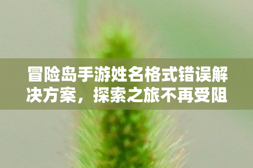 冒险岛手游姓名格式错误解决方案图片