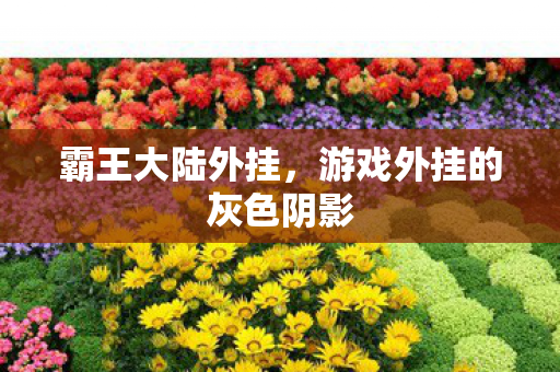 游戏外挂的灰色阴影图片