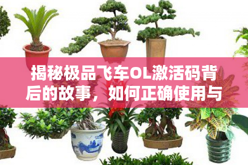 揭秘极品飞车OL激活码背后的故事图片