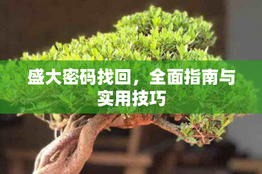 全面指南与实用技巧图片
