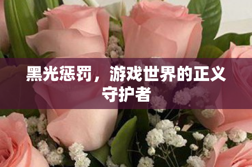 游戏世界的正义守护者图片