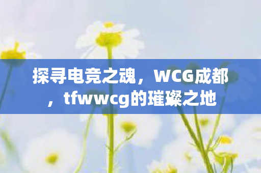 探寻电竞之魂,WCG成都,tfwwcg的璀璨之地 探寻电竞之魂,WCG成都,tfwwcg的璀璨之地