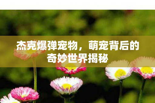 萌宠背后的奇妙世界揭秘图片