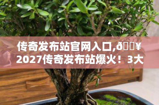 3大惊喜体验让我直呼过瘾图片