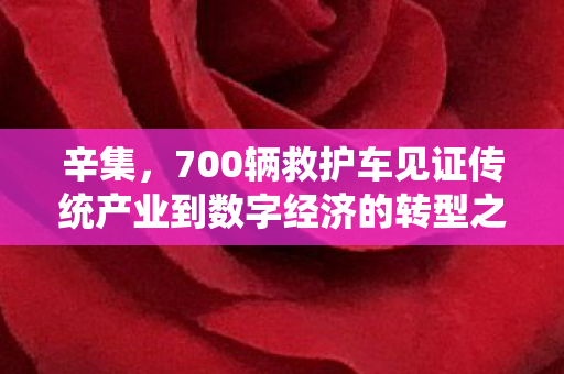 700辆救护车见证传统产业到数字经济的转型之路图片
