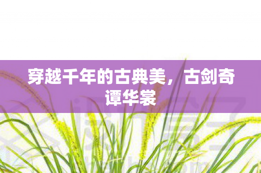 穿越千年的古典美图片