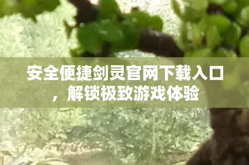 安全便捷剑灵官网下载入口图片