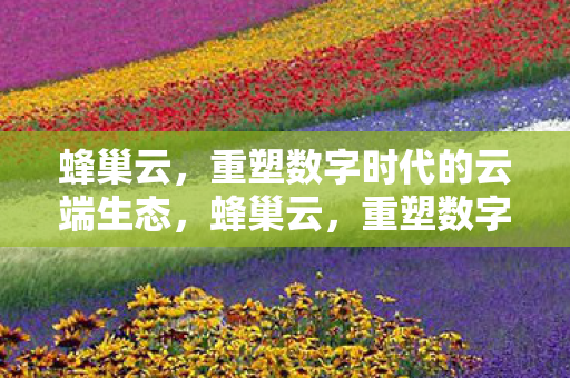 蜂巢云，重塑数字时代的云端生态，蜂巢云，重塑数字时代的云端生态