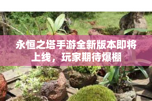 永恒之塔手游全新版本即将上线图片