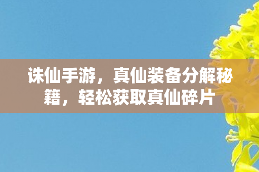 真仙装备分解秘籍图片