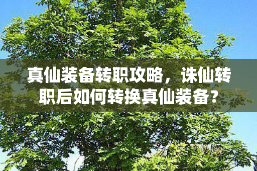 诛仙转职后如何转换真仙装备图片