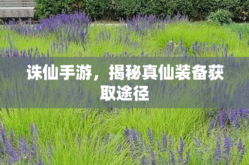 揭秘真仙装备获取途径图片