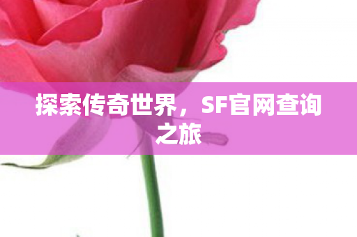 SF官网查询之旅图片