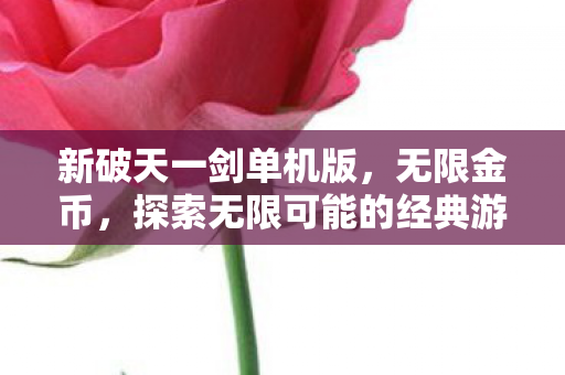 探索无限可能的经典游戏下载图片