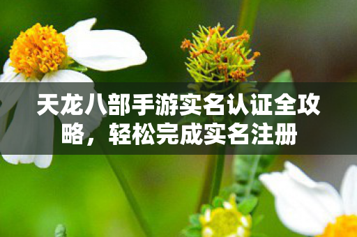 天龙八部手游实名认证全攻略图片