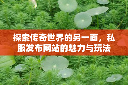 私服发布网站的魅力与玩法图片