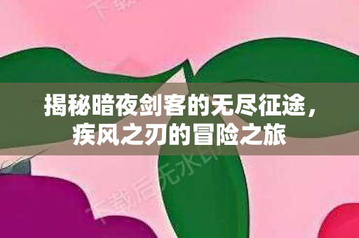 揭秘暗夜剑客的无尽征途图片