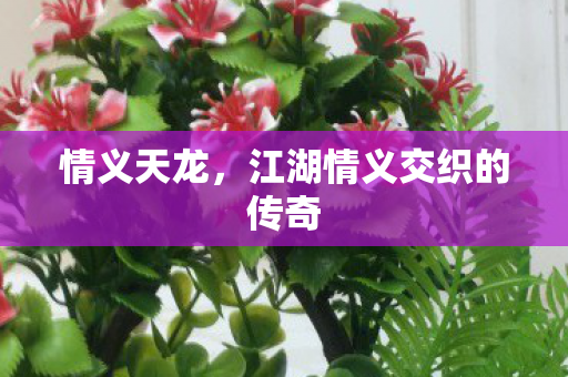 江湖情义交织的传奇图片