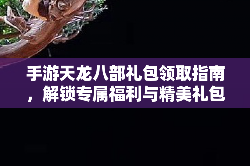 解锁专属福利与精美礼包图片图片