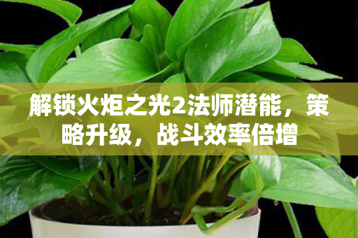 解锁火炬之光2法师潜能图片