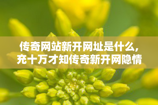 传奇网站新开网址是什么,充十万才知传奇新开网隐情！这砍氪方案，真让人吓一跳！