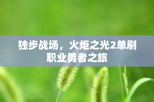 火炬之光2单刷职业勇者之旅图片