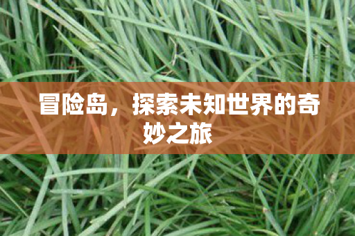 探索未知世界的奇妙之旅图片