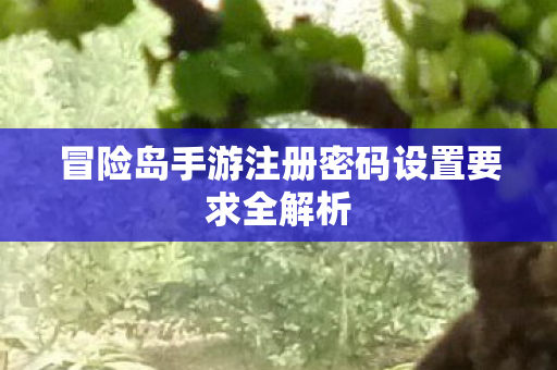 冒险岛手游注册密码设置要求全解析图片