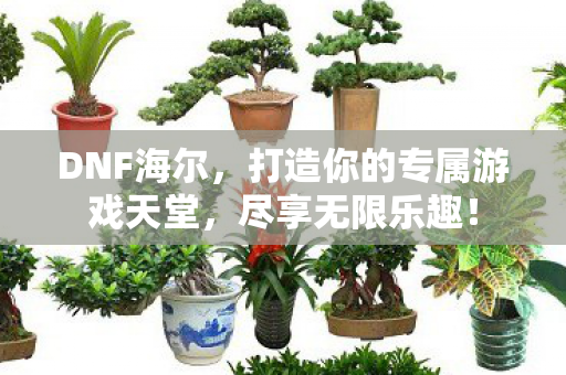 打造你的专属游戏天堂图片