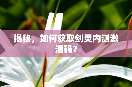 如何获取剑灵内测激活码图片