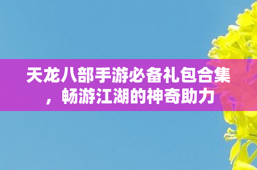 天龙八部手游必备礼包合集图片
