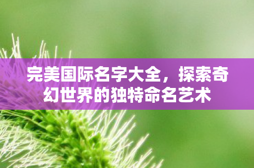探索奇幻世界的独特命名艺术图片