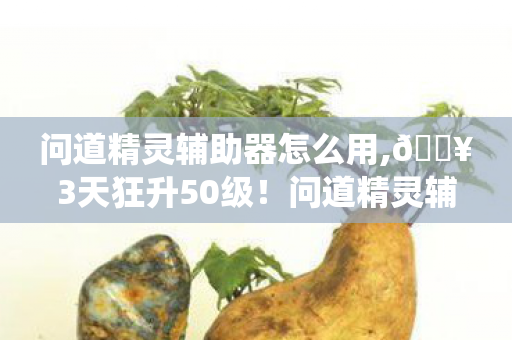 问道精灵辅助器怎么用,🔥3天狂升50级!问道精灵辅助器让我体验开挂式修仙快感! 问道精灵辅助器怎么用,🔥3天狂升50级!问道精灵辅助器让我体验开挂式修仙快感!