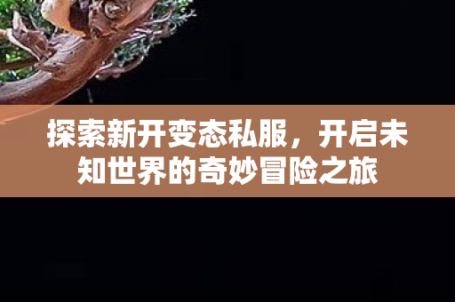 开启未知世界的奇妙冒险之旅图片