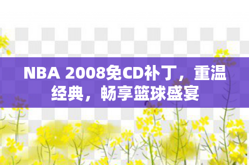 NBA 2008免CD补丁图片