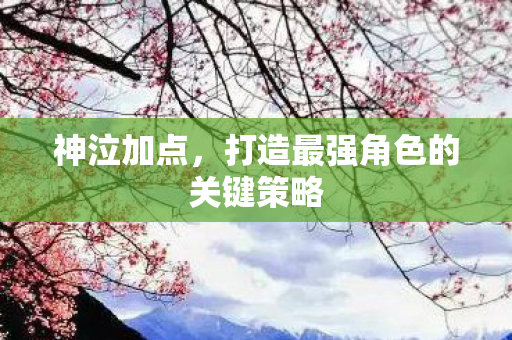 打造最强角色的关键策略图片