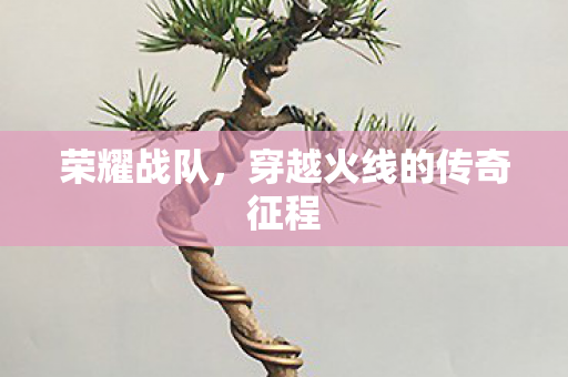 穿越火线的传奇征程图片