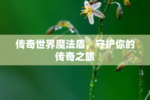 守护你的传奇之旅图片