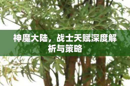 战士天赋深度解析与策略图片