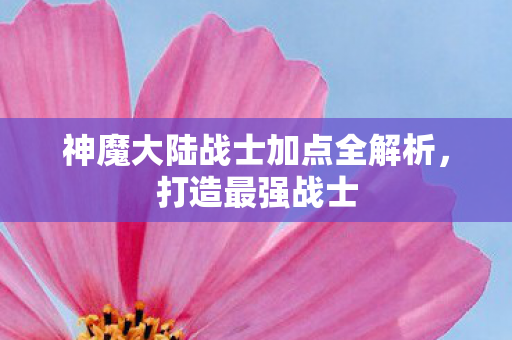 神魔大陆战士加点全解析图片