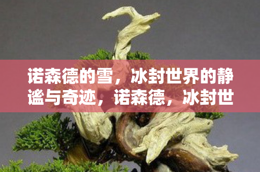 诺森德的雪，冰封世界的静谧与奇迹，诺森德，冰封世界的静谧奇迹