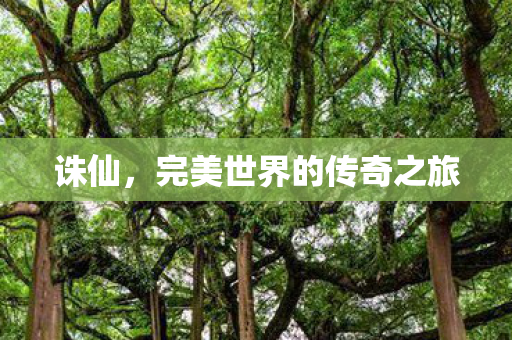 完美世界的传奇之旅图片