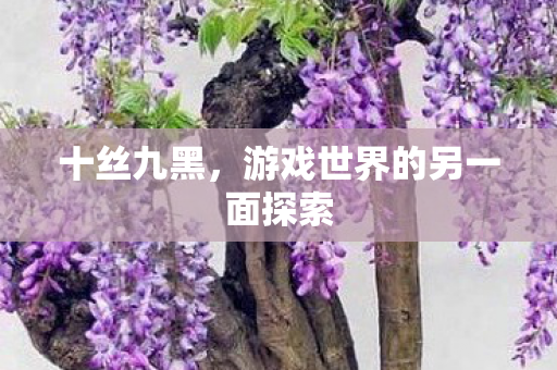 游戏世界的另一面探索图片