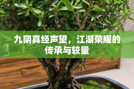 江湖荣耀的传承与较量图片